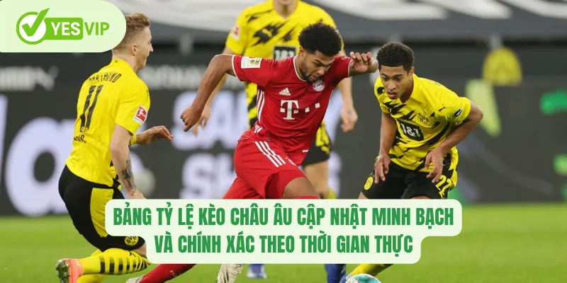 Bảng tỷ lệ kèo châu Âu cập nhật minh bạch và chính xác theo thời gian thực