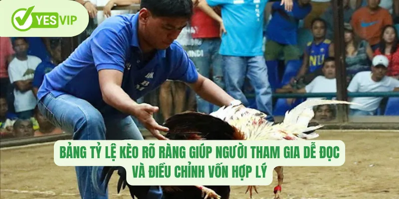 Thuật Ngữ Đá Gà Yesvip – Giải Mã Ngôn Ngữ Cá Cược Đỉnh Cao 2 Bảng tỷ lệ kèo rõ ràng giúp người tham gia dễ đọc và điều chỉnh vốn hợp lý