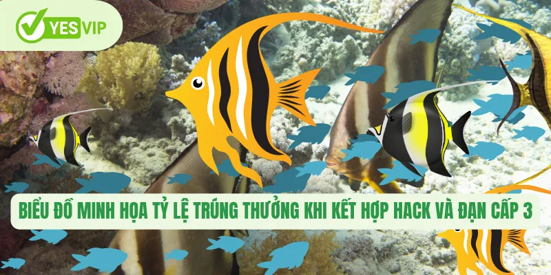 Biểu đồ minh họa tỷ lệ trúng thưởng khi kết hợp hack và đạn cấp 3