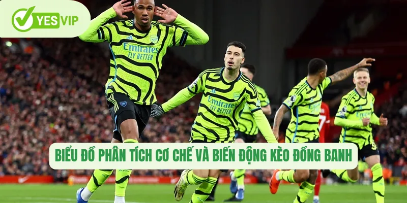 Biểu đồ phân tích cơ chế và biến động kèo đồng banh 