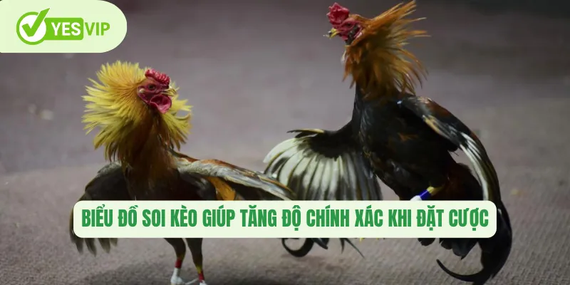 Biểu đồ soi kèo giúp tăng độ chính xác khi đặt cược