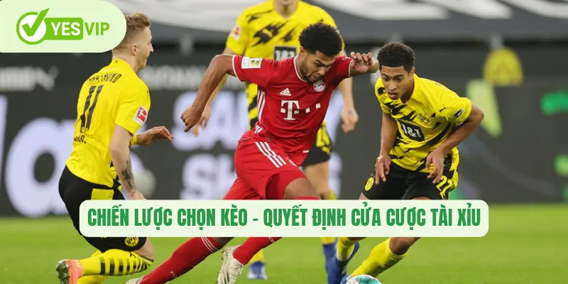 Chiến lược chọn kèo – quyết định cửa cược tài xỉu