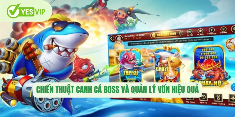Chiến thuật canh cá boss và quản lý vốn hiệu quả