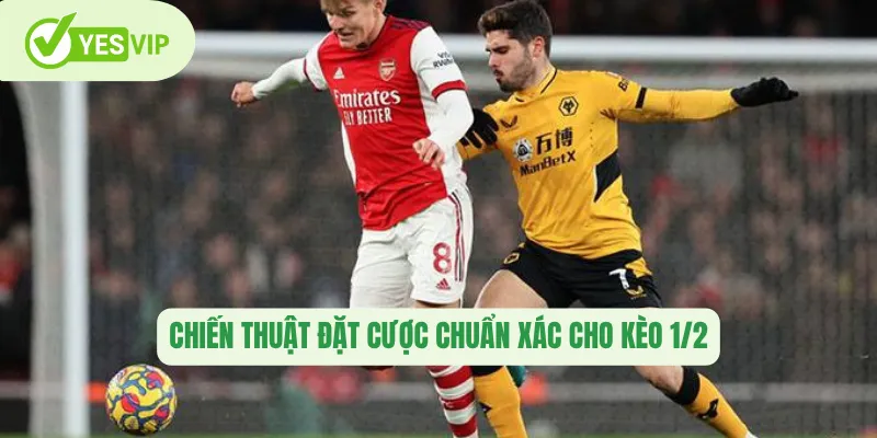 Chiến thuật đặt cược chuẩn xác cho kèo 1/2