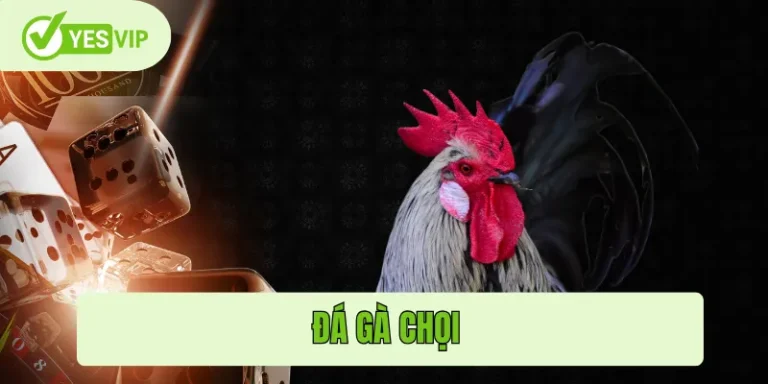 Đá gà chọi