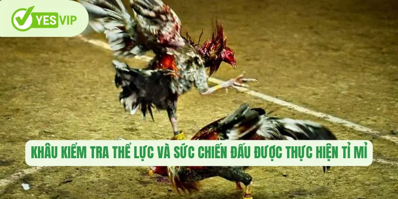 Khâu kiểm tra thể lực và sức chiến đấu được thực hiện tỉ mỉ
