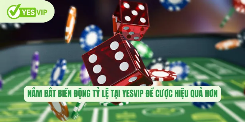 Nắm bắt biến động tỷ lệ tại Yesvip để cược hiệu quả hơn
