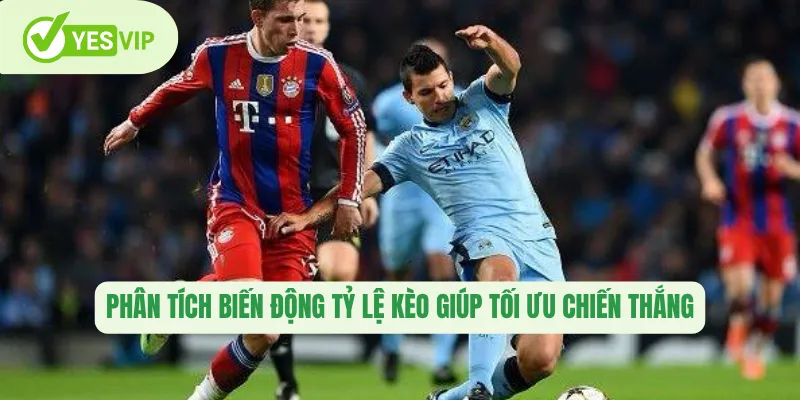 Phân tích biến động tỷ lệ kèo giúp tối ưu chiến thắng