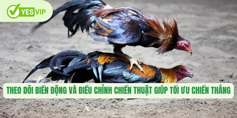 Theo dõi biến động và điều chỉnh chiến thuật giúp tối ưu chiến thắng