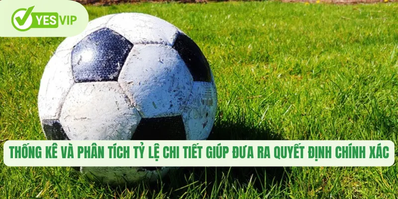 Thống kê và phân tích tỷ lệ chi tiết giúp đưa ra quyết định chính xác