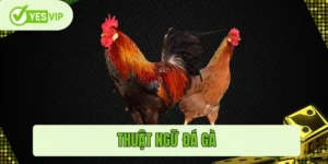 Thuật ngữ đá gà